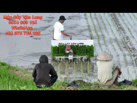 Video The 6 Rows RicePlanting Machine Works - Máy Cấy Văn... - youtube