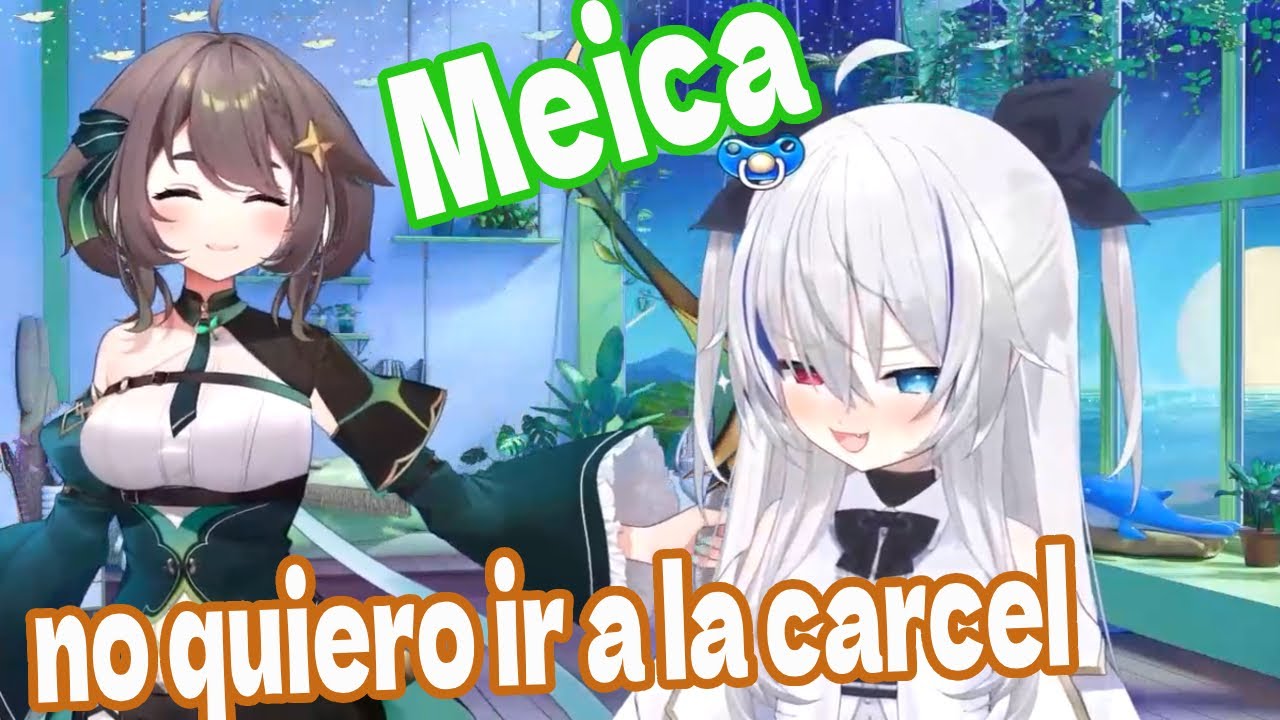 Meica No quiero ir a la carcel