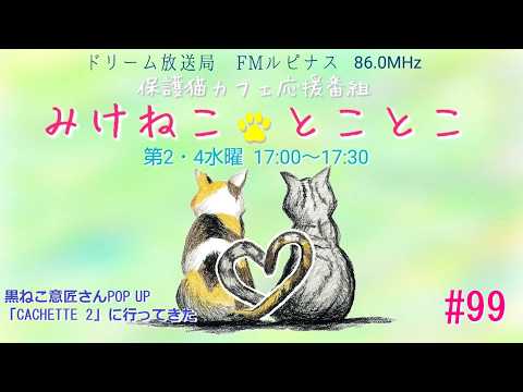 Mike Neko Toko Toko [Episode 99] Broadcast on 6/10/2026 - YouTube