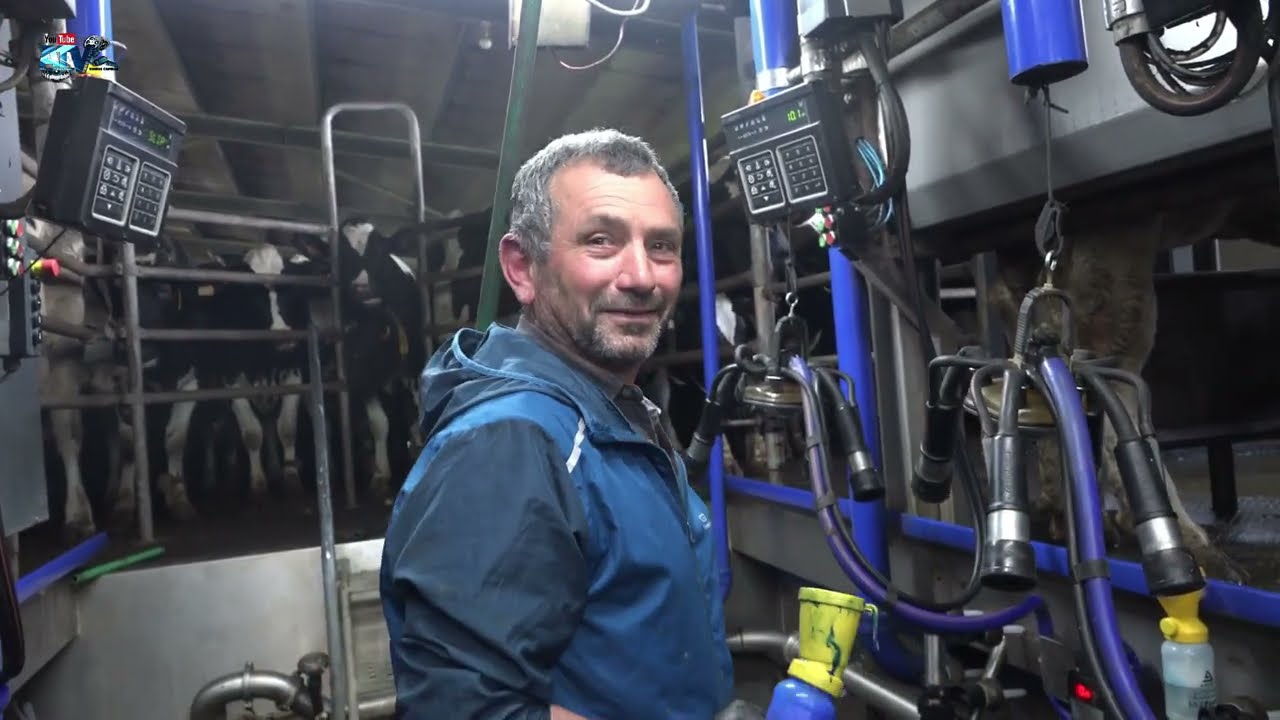 Exploração Miranda  Sr.  João Evangelista e Filho João Guilherme Maquina Ordenhar Vacas