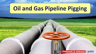 Oil and Gas Pipeline Pigging