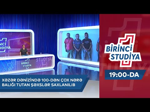 Video: Tutuquşu balığı mərcan yeyir?