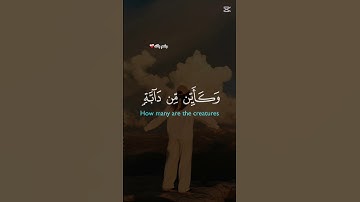 سر القوة في الصبر والتوكل على الله🎧 #تلاوة_خاشعة #قران_كريم #المصحف #quran #اكسبلور