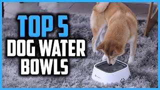 ✅Top 5 Best Splash Proof Dog Water Bowls in 2024