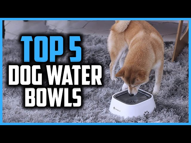 Dog Water Bowl Slow Drinking Dog Bowl with Floating Disk No-Spill Large  Water Bowl for Dogs Splash-Free 1.1 Gallon Dog Bowls