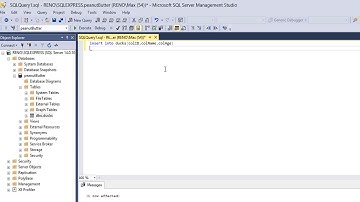 SQL Made Didily: Inserting a row into a Table in SQL
