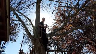 HIGH TREE CLIMBER!!!!💚