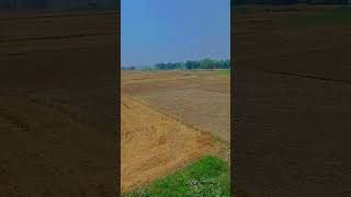 🌄#shorts #love #trending #hindiquotes #motivation 🔥