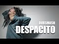 DESPACITO DUBSMASH 6