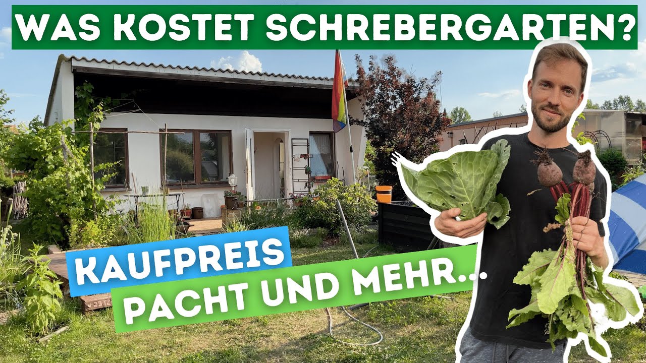 Unser Kleingarten #5: Was kostet ein Kleingarten? Für dich das Richtige?