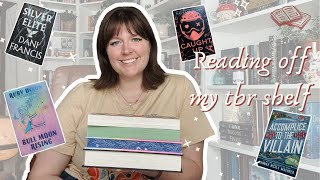 reading off my tbr shelf | but it goes wrong...🫣