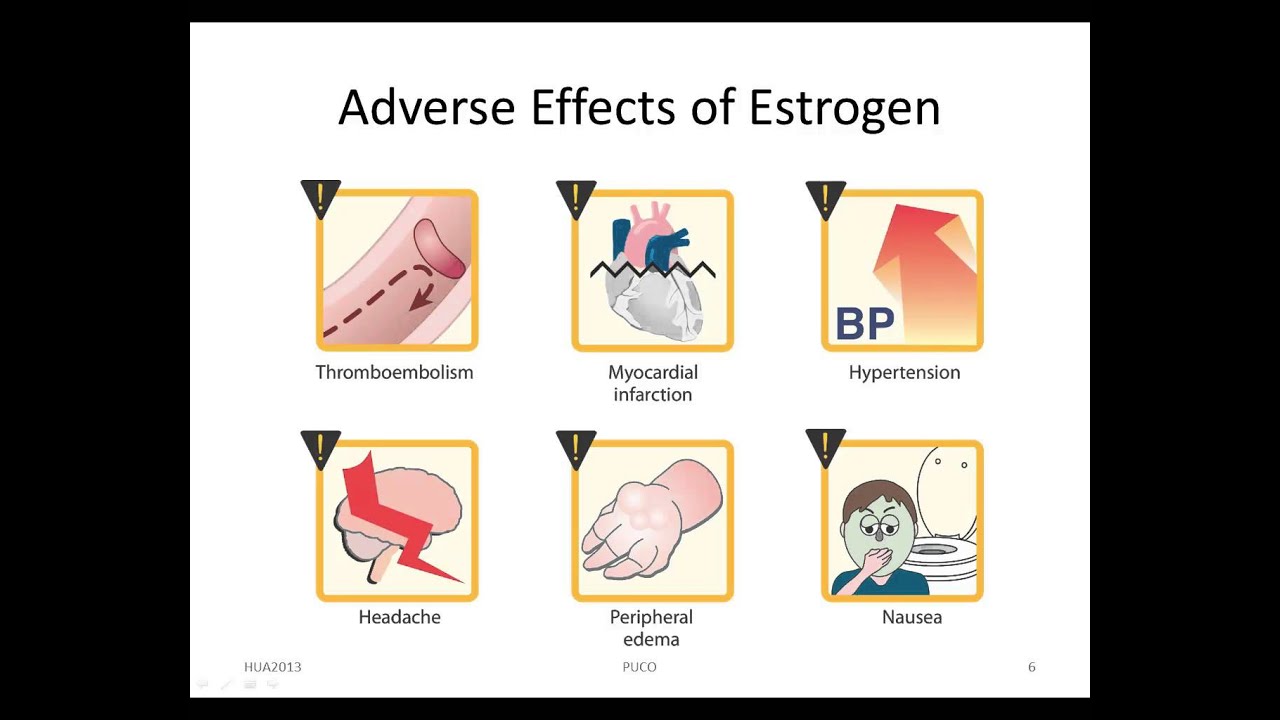 Hormones And Sex 69