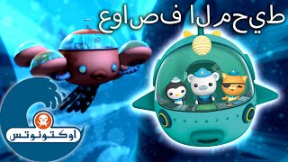 !أوكتونوتس | عواصف المحيط | حلقة خاصة بالخريف | رسوم متحركة للأطفا