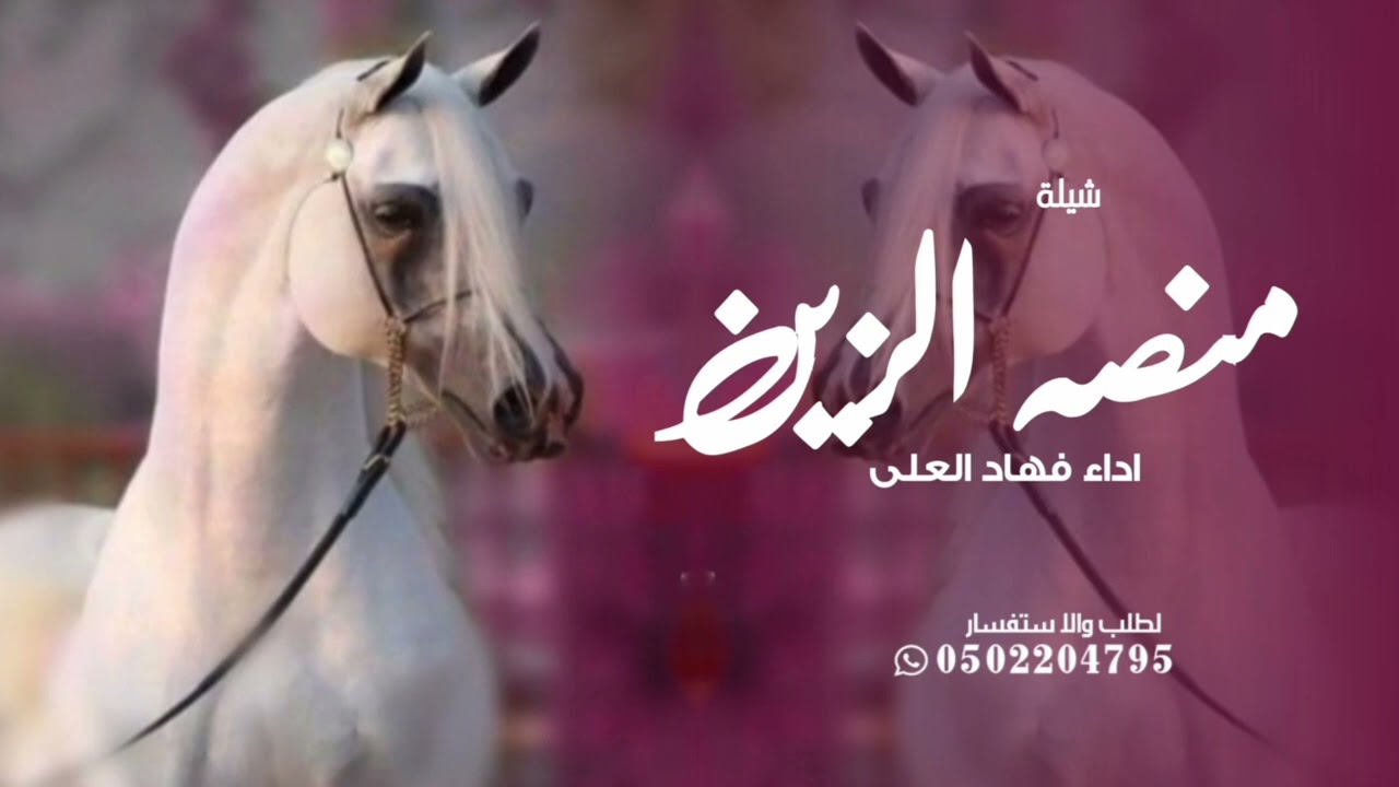 شيلة منصه الزين بجميع الميداين 2025 شيلات رقص اداء فهاد العلي