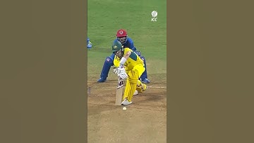 You can always rely on Australia captain Pat Cummins 🇦🇺 #cricket #cricketshorts #ytshorts