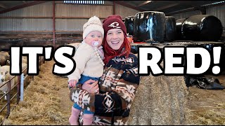 I finally met THE RED SHEPHERDESS!!!  ...our SHEEPISH trip to the UK (part 2)