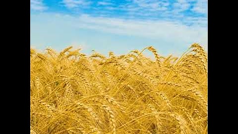 ماتيسر من سورة الأنفال بصوت الشيخ إبراهيم الجبرين