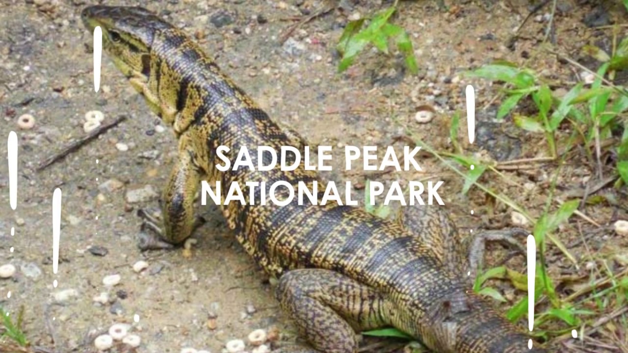 Diglipur Island Tour and Beautiful Places to Visit 