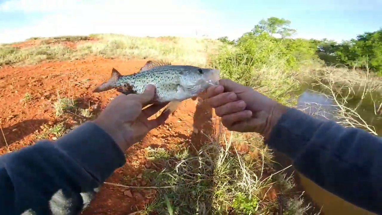 Oklahoma crappie fishing. YouTube