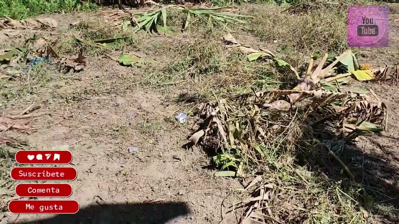 Se vende bonito inmueble en Cantón el tránsito n°2, Tonacatepeque, San Salvador.