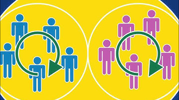 Functional Subgrouping: The core method of Systems-Centered Training (SCT) (Dutch)