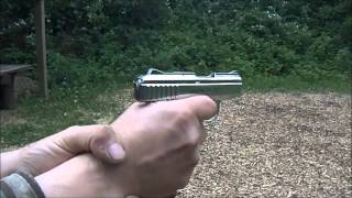 Raven .25 Auto Pistol