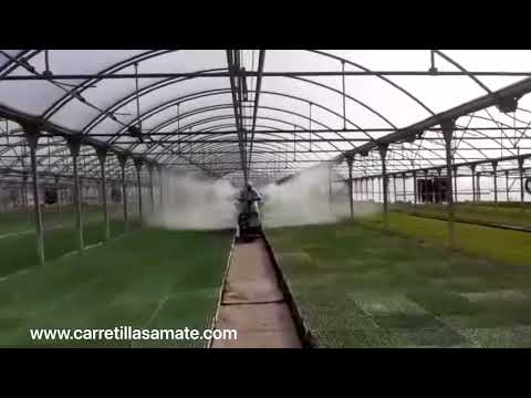 Seedbed - Nursery video