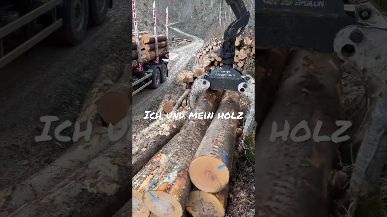 YouTubeでIch und mein Holz 🪵 #holz #forest #woodworking #lkw #forest #wald #schneedruck #winterを視聴 YouTubeでIch und mein Holz 🪵 #holz #forest #woodworking #lkw #forest #wald #schneedruck #winterを視聴