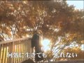 湯の山しぐれ 山城さくら オリジナル.mpg