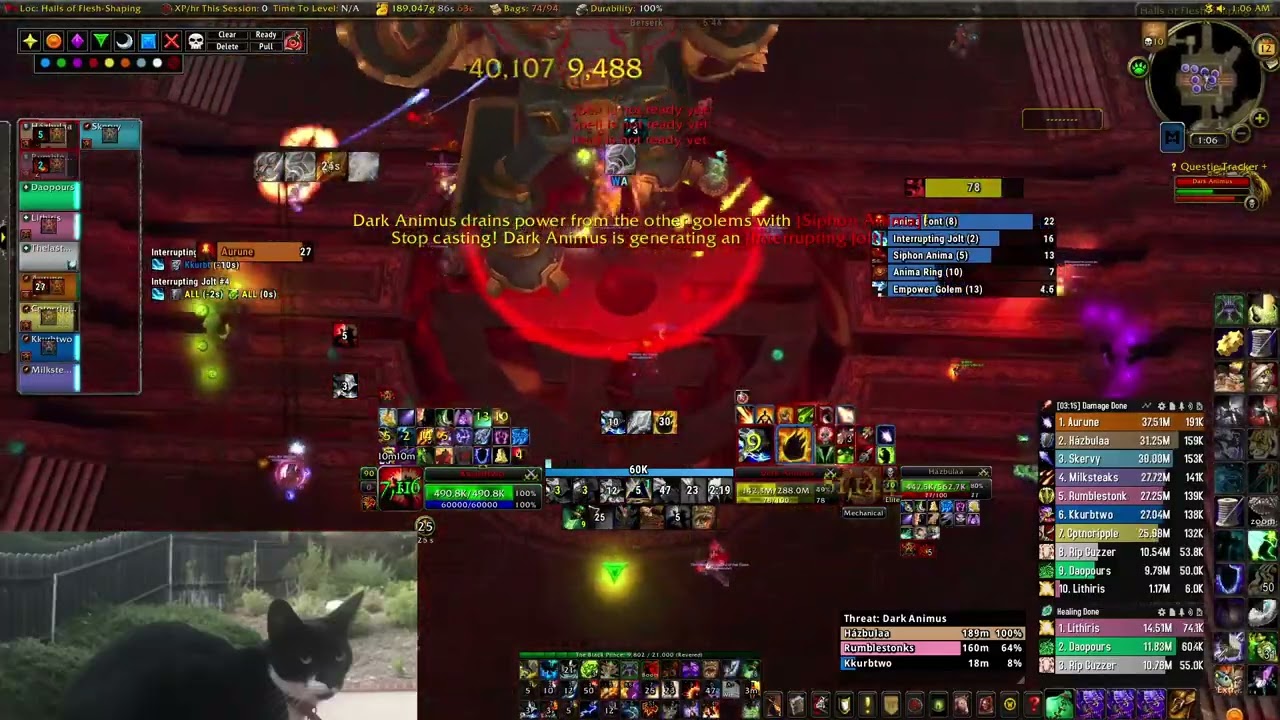 Dreamstate Throne of Thunder Dark Animus 10M Heroic