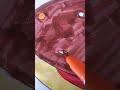 drawing a burger