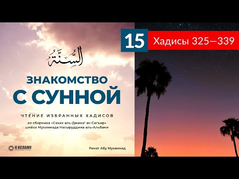 15. Чтение избранных хадисов. Хадисы 325—338 | Ринат Абу Мухаммад. Знакомство с Сунной