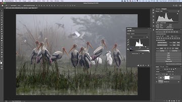 How To Rescue Contrast with Curves and Levels in Photoshop