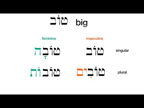 Introduction to Hebrew Adjectives: gender and number