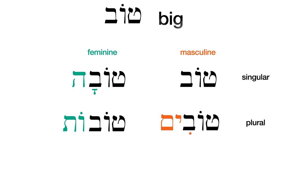 introduction-to-hebrew-adjectives-gender-and-number-youtube