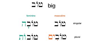 Introduction to Hebrew Adjectives: gender and number