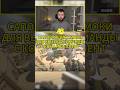 Сапортящие смоки для выхода с кона на А плент на Mirage | #cs2 #cs2smokes #mirage #cs2tips