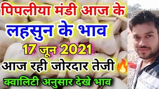 पिपलीया मंडी आज के लहसुन भाव 17 जून 2021 | Garlic Rate Today | Aaj Ka Lahsun Ka Bha v | Lahsun Bhav