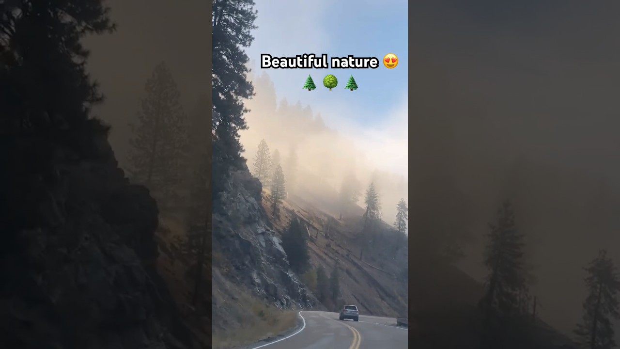Beautiful nature while driving 😍 