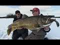 Giant tipup laker  itrout part 2 of 3  uncut angling  january 3 2013