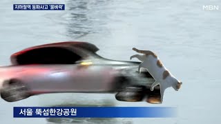 꽁꽁 얼어붙은 한강 위에서 교통사고가 발생했습니다