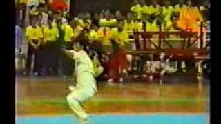 Wushu Ditang Quan- Long Rong Biao