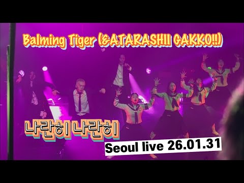 [Live] 나란히 나란히 - Balming Tiger (feat. Atarashii Gakko!) (seoul 26.01.31)