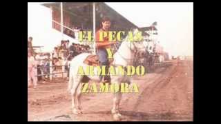 Video thumbnail of "SIETE GLORIAS DEL COLEO...Cheo Hernández Prisco"