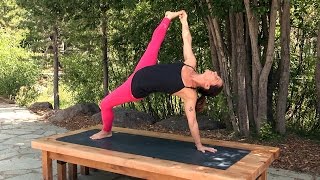 Mini-Workshop: Side Plank / Vasisthasana with Anne Marie Kramer 