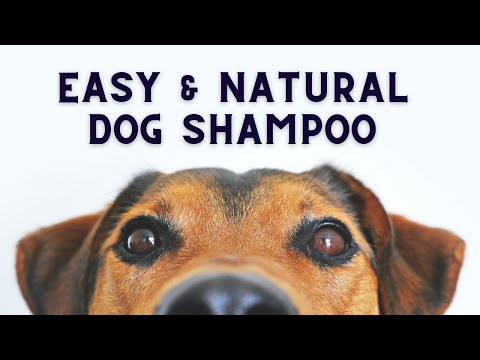 Video: DIY Green Doggie šampon