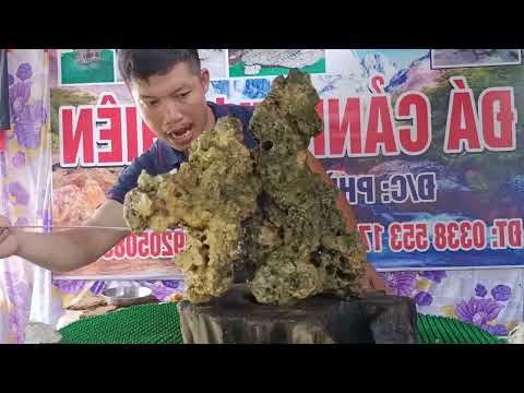 Video đá ghép cây, đá non bộ tiểu cảnh ( 1/7) sđt 0338553179 - youtube