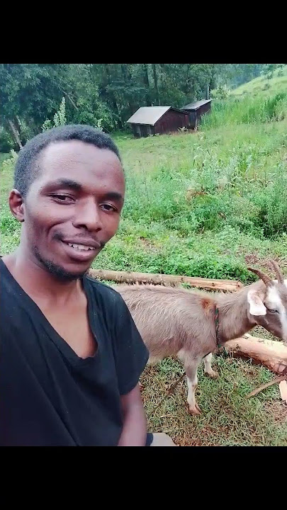 first mwenye anasema ni dunge ngombe dawa ya kuto nyamba.kwanza ajiduge