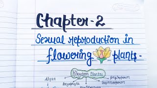 Sexual Reproduction in Flowering Plants🌺🌱Class 12 Biology Chapter 1 Handwritten note#biology#class12
