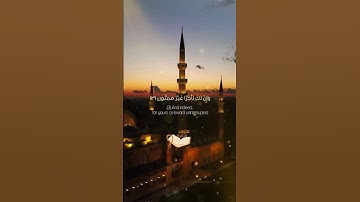 سورة القلم | القاريء علي اليوسف